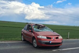 emotionant pompierii din constanta gazduiesc 3 pisici salvate din accidentul de la sibioara iata de unde le pot lua proprietarii 69d64f5304c43