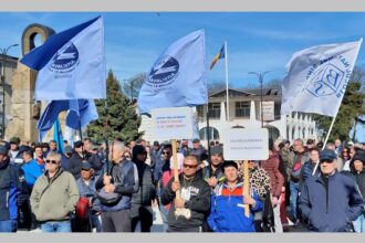 falimentul damen shipyards mangalia sa si deciziile care l au conturat radiografia unui deznodamant anticipat 69f16b1ab20ce