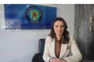 foto exportul de animale vii prin portul midia a crescut in ultimul an ce spune corina ivanciu directorul dsvsa despre reglementari si monitorizarea transporturilor 69d869155916c