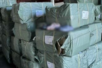 incaltaminte contrafacuta de peste doua milioane de lei descoperita de inspectorii vamali constanteni 69e635a4545d9