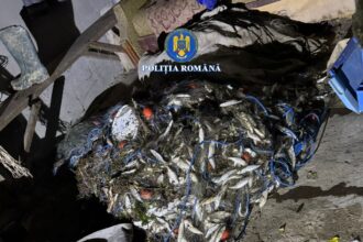 lupta impotriva braconierilor 12 kilograme de peste gasite dintr un foc 69d38ca81fea7