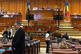 situatia traficului de droguri din constanta dezbatuta in senat ce i s a cerut sefului ipj constanta 69d2d4cf6d04e
