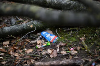 trei persoane printre care si o fetita de 10 luni au murit in germania lovite de un copac in timp ce vanau oua de paste 69d3869e23b7c