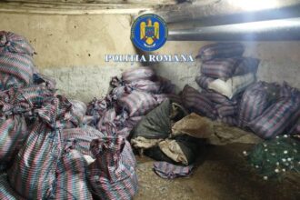 tulcea 4 barbati au ajuns dupa gratii in dosarul de braconaj piscicol instrumentat de politistii de frontiera 69e33eee88ad2