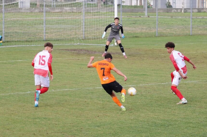 victorie soimii din cernavoda au dat recital pe terenul echipei secunde de la dinamo bucuresti 69ebb75d27fbd