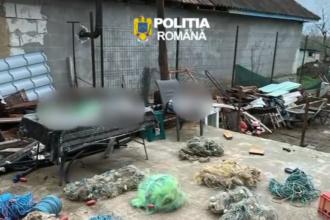 video descinderi de amploare in seimeni dunarea topalu capidava si harsova intr un dosar privind infractiuni de braconaj furt si tainuire 69cfbb5f10e66