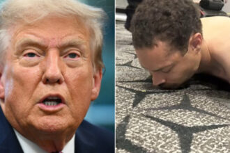 video primele imagini cu atacatorul de la dineul corespondentilor trump povesteste ce s a intamplat in sala 69eda53ec80f3