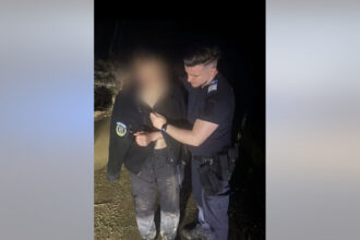 video tanar salvat de jandarmi dupa ce a fost fugarit de un urs el si a aruncat lucrurile si motocicleta pentru a scapa de animal 69e3945d1d815
