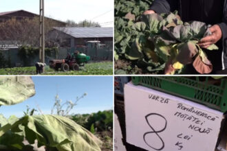 video varza de primavara compromisa de vreme cum arata acum culturile din dolj ramanem iar cu ea pe camp 69ec5ac8c6592