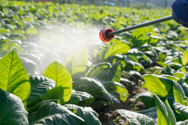 afaceri ilegale cu pesticide la petrosani 45 de litri si 20 kilograme de produse periculoase confiscate de politisti 6a06ed87e1940