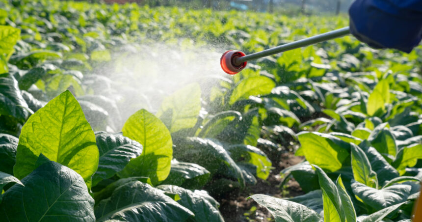 afaceri ilegale cu pesticide la petrosani 45 de litri si 20 kilograme de produse periculoase confiscate de politisti 6a06ed87e1940