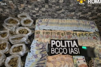 cocaina vanduta intr o vulcanizare din iasi cinci persoane au fost arestate preventiv 6a0daf373f4f4