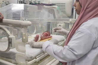 criza de malnutritie artificiala intretinuta de israel in fasia gaza acuzatiile organizatiei medici fara frontiere 69fc3e4aa58dc