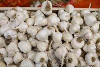 guvernul a aprobat ajutorul pentru cultivatorii de usturoi in 2026 fermierii pot primi pana la 3 000 de euro pe hectar 6a0f28560e527