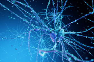 un centru de date va fi alimentat in premiera de neuroni umani crescuti in laborator 69f79d9a3c3cd