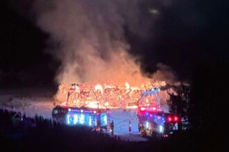 update scandal la incendiul de la clubul argo intre politisti si jurnalisti ce au transmis reprezentantii ipj constanta 6a0d717ec9557