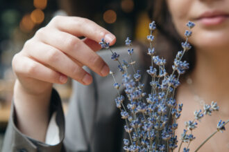 video afaceri profitabile cu miros si aroma de lavanda cum a reusit planta decorativa sa devina astazi ingredient in prajituri si cosmetice 6a001334a1932