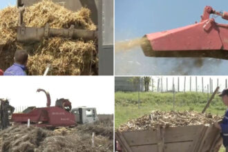 video comuna care transforma resturile vegetale din gospodarii in ingrasamant natural localnicii fac rand la utilajul cumparat de primarie 69f97bb5e6c9c