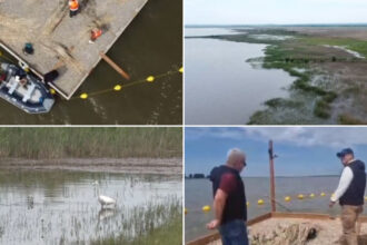 video experiment inedit in dolj insule artificiale pentru atragerea pasarilor salbatice pe cel mai mare lac din judet e doar inceputul 6a128f4c5743e