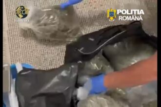 video flagrant pe a2 11 kg de canabis urmau sa ajunga pe litoral 69f4e38ebd5ed