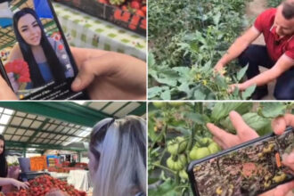 video noul trend printre comerciantii din piete fructe si legume promovate pe retelele sociale cum ajuta clipurile online vanzarile 6a1152dc86aea