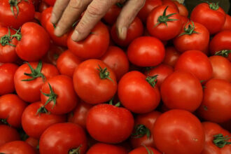 video sunt tratate sa reziste pericolul rosiilor perfecte din piete si supermarketuri cum le putem recunoaste pe cele cu pesticide 6a0be17d271b3