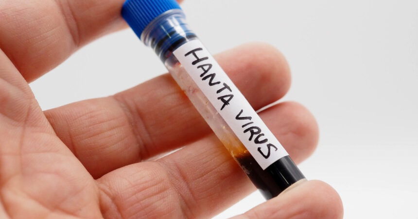 ancheta epidemiologica in argentina noua varianta de hantavirus identificata la rozatoare fara legatura cu focarul de pe mv hondius 6a42b50fafc62