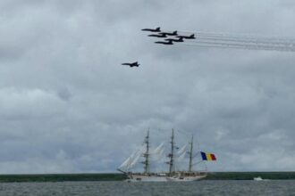 avioanele blue angels au survolat bricul mircea aflat in statele unite 6a37a8c22367f
