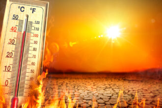 de ce valurile caniculare timpurii sunt mai periculoase decat cele din timpul verii avertismentul unui climatolog 6a1e57b945f12