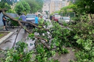 efectele pagubelor produse de ploile torentiale in constanta unde suni daca ai casa inundata sau daca a cazut un copac 6a2581068de8e