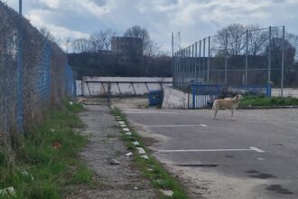 incep lucrarile la noul stadion gheorghe hagi o firma din agigea se ocupa de cercetarea arheologica 6a25ede967a8b