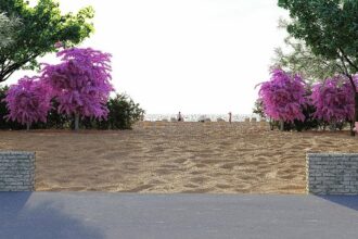 perdele forestiere experimentale pentru umbrirea plajelor din zona mamaia navodari 6a1f41757d4dc