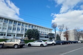 radu construct alpin continua seria contractelor cu primaria mangalia aproape 50 000 de lei pentru intretinerea lacului 2 6a2f32dddb451