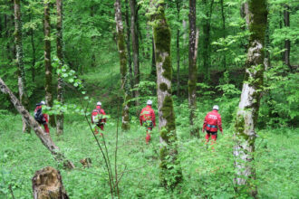 ursii si viperele coboara tot mai des pe traseele turistice recomandarile salvamont pentru cei care aleg muntele in vara 2026 6a26a69da3352