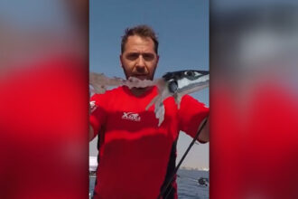 video alerta in grecia un peste periculos ajunge aproape de mal si poate musca turisti medic contine o toxina foarte periculoasa 6a36c600d9c74