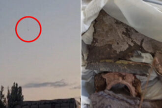 video alerta in tulcea resturi de drona gasite pe un camp militarii au decis detonarea din cauza riscului de explozie 6a437d688d83c