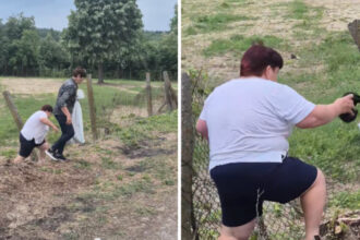 video amenda pentru o femeie care a abandonat sase pui de pisica pe un teren viran eee platesc 6a204e776c62a