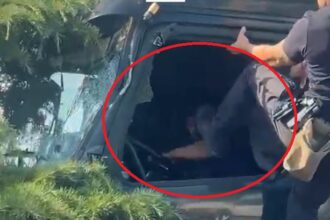 video ancheta la politia locala dupa ce un agent a lovit soferul tir ului care a facut prapad in constanta 6a27cc1812726