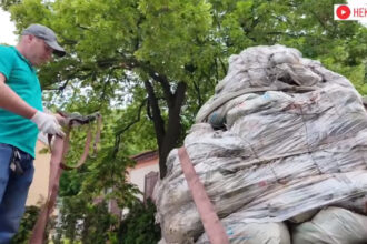 video statuia scriitorului mihail bulgakov din kiev a fost demontata ucrainenii sustin ca reprezinta un simbol al imperialismului rus 6a23e090b14de