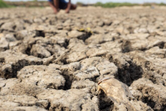 avertismente sumbre ale expertilor despre super el nino fenomenul ar putea creste preturile alimentelor timp de ani de zile 6a57163f4ac39