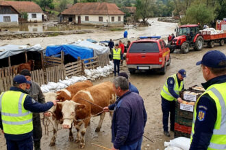avertismentul ansvsa dupa inundatii pot aparea boli grave transmise de la animale la oameni ce recomandari au autoritatile 6a61cffe3aa93