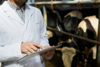doua focare de rabie la bovine in neamt dsp cauta persoanele care au intrat in contact cu animalele infectate 6a4b7b8fa54bc