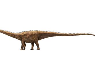o noua specie de dinozaur urias a fost descoperita pornind de la o singura vertebra 6a5313b01cc01