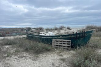 oportunitate pentru pescari doua ambarcatiuni scoase la licitatie de anaf constanta 6a4ad4759014f