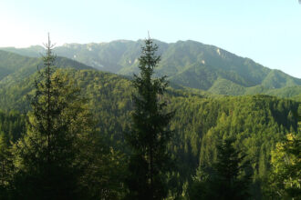 romania printre statele ue auditate de curtea europeana de conturi privind eficienta retelei natura 2000 6a4fcef42dd1b