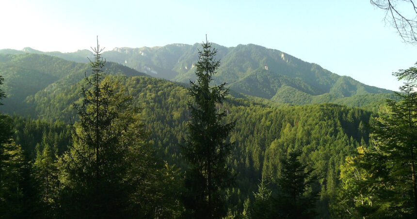 romania printre statele ue auditate de curtea europeana de conturi privind eficienta retelei natura 2000 6a4fcef42dd1b