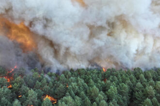 video incendii forestiere de amploare exceptionala in apropierea parisului au fost mobilizati 400 de pompieri avioane elicoptere 6a547dca48825