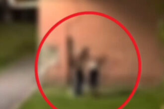 video un barbat din brasov a fost arestat dupa ce si a batut partenera incidentul filmat de un localnic 6a44c0e00b7ba