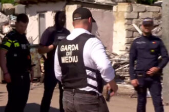 video val de sesizari absurde la garda de mediu de la mirosul de tocanita venit din vecini pana la albinele care murdaresc masinile 6a5a4ce9a2b3d